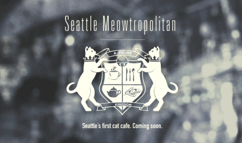 Meowtropolitan · 西雅图的第一间猫咪咖啡馆